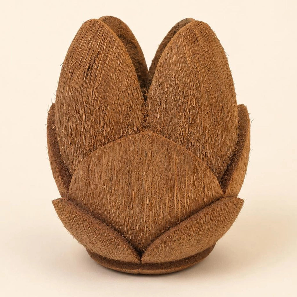 Lotus 3-Step Coconut Husk Planter | Kerala Handcrafted Eco-Friendly Decorative Pot