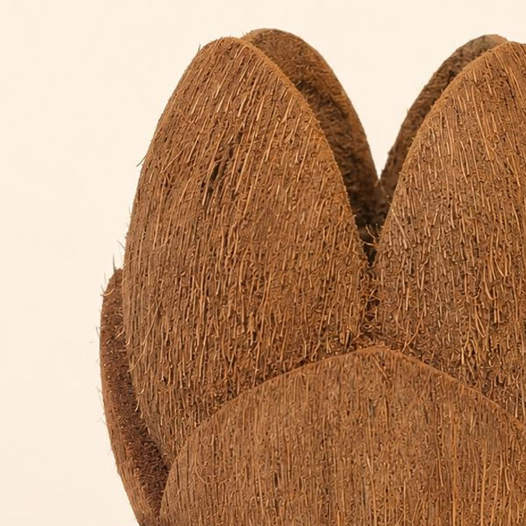Lotus 3-Step Coconut Husk Planter | Kerala Handcrafted Eco-Friendly Decorative Pot