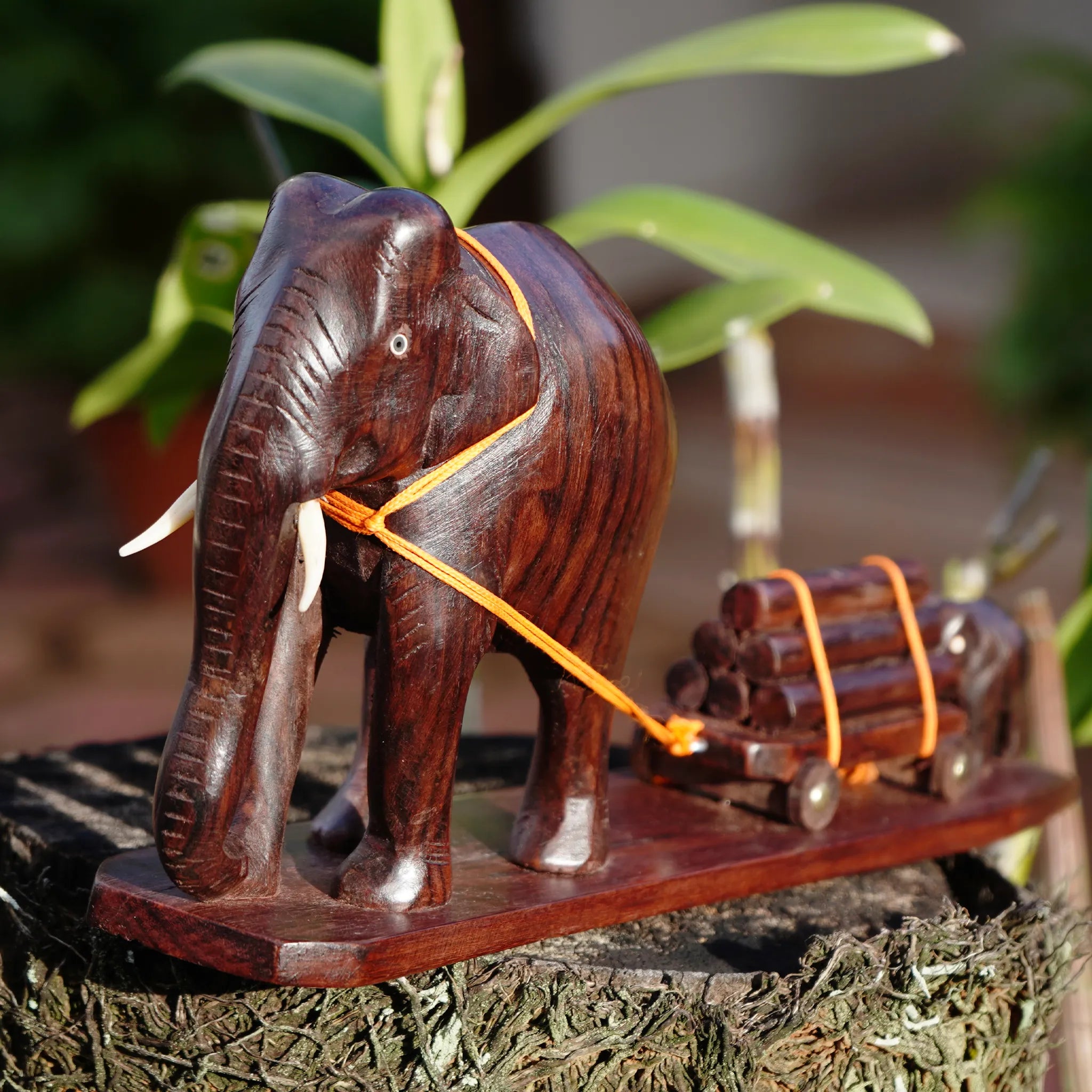 elephant with a cart made from rosewood is a traditional and elegant Masterpiece