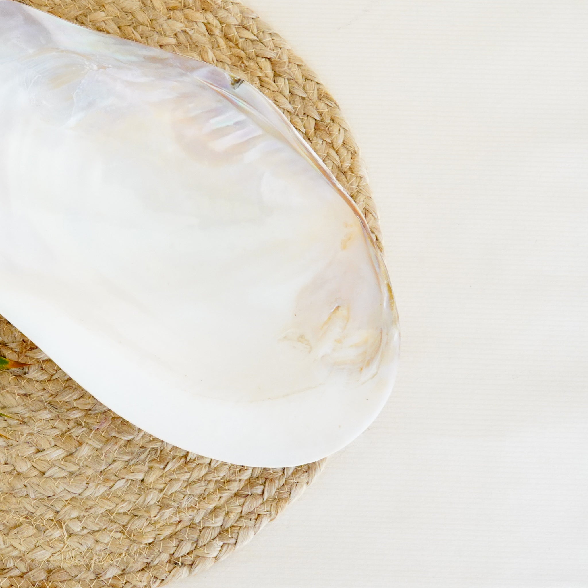 Large Iridescent Shell Tray Elegant Coastal Décor & Functional Statement Piece