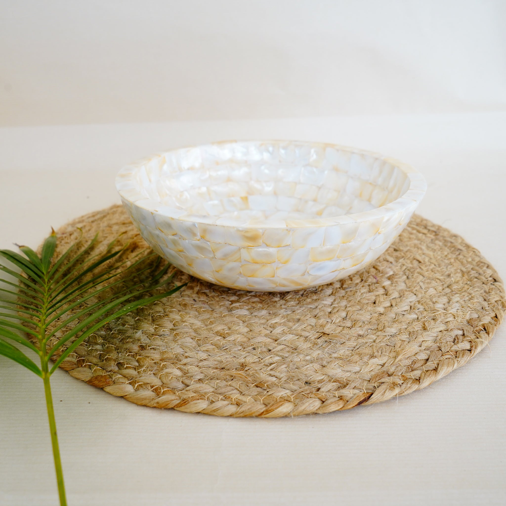 Elegant Natural Shell Bowl Coastal-Inspired Decorative & Functional Centerpiece
