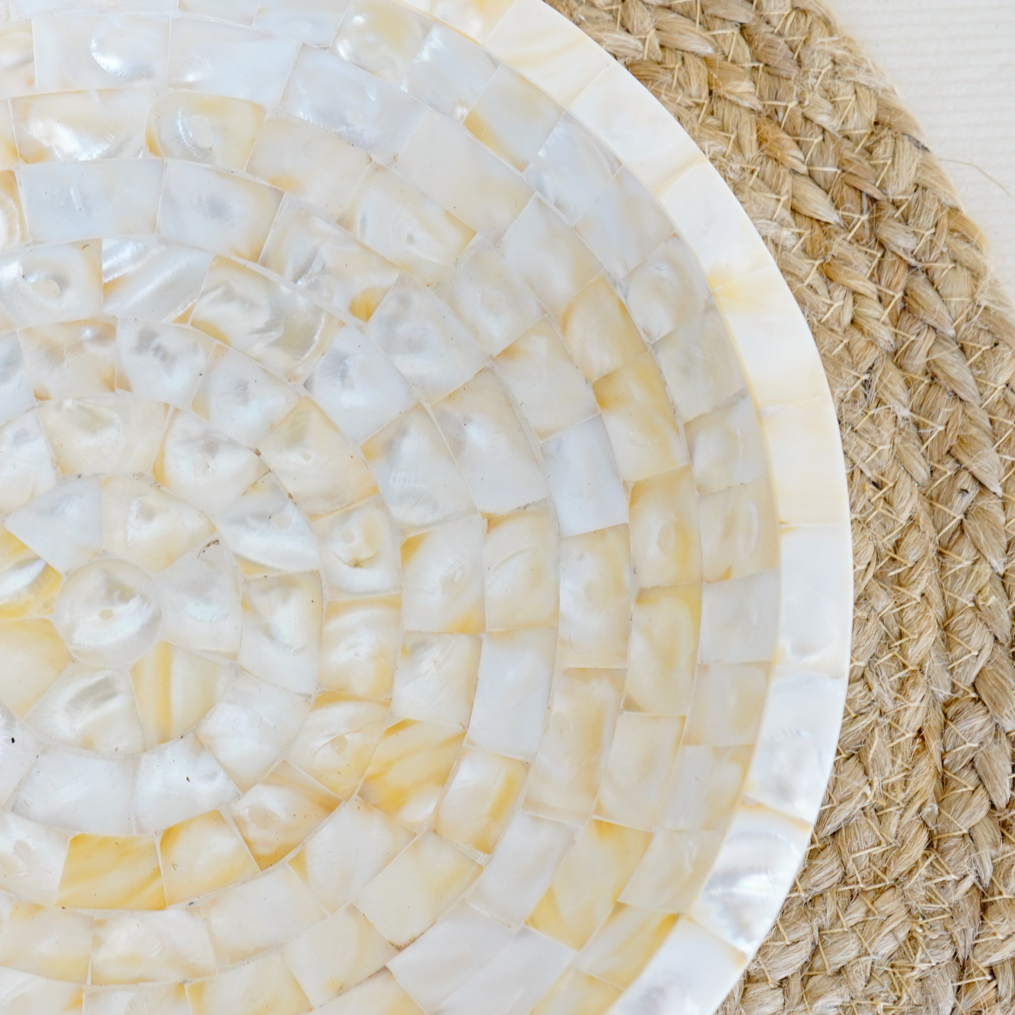 Elegant Natural Shell Bowl Coastal-Inspired Decorative & Functional Centerpiece