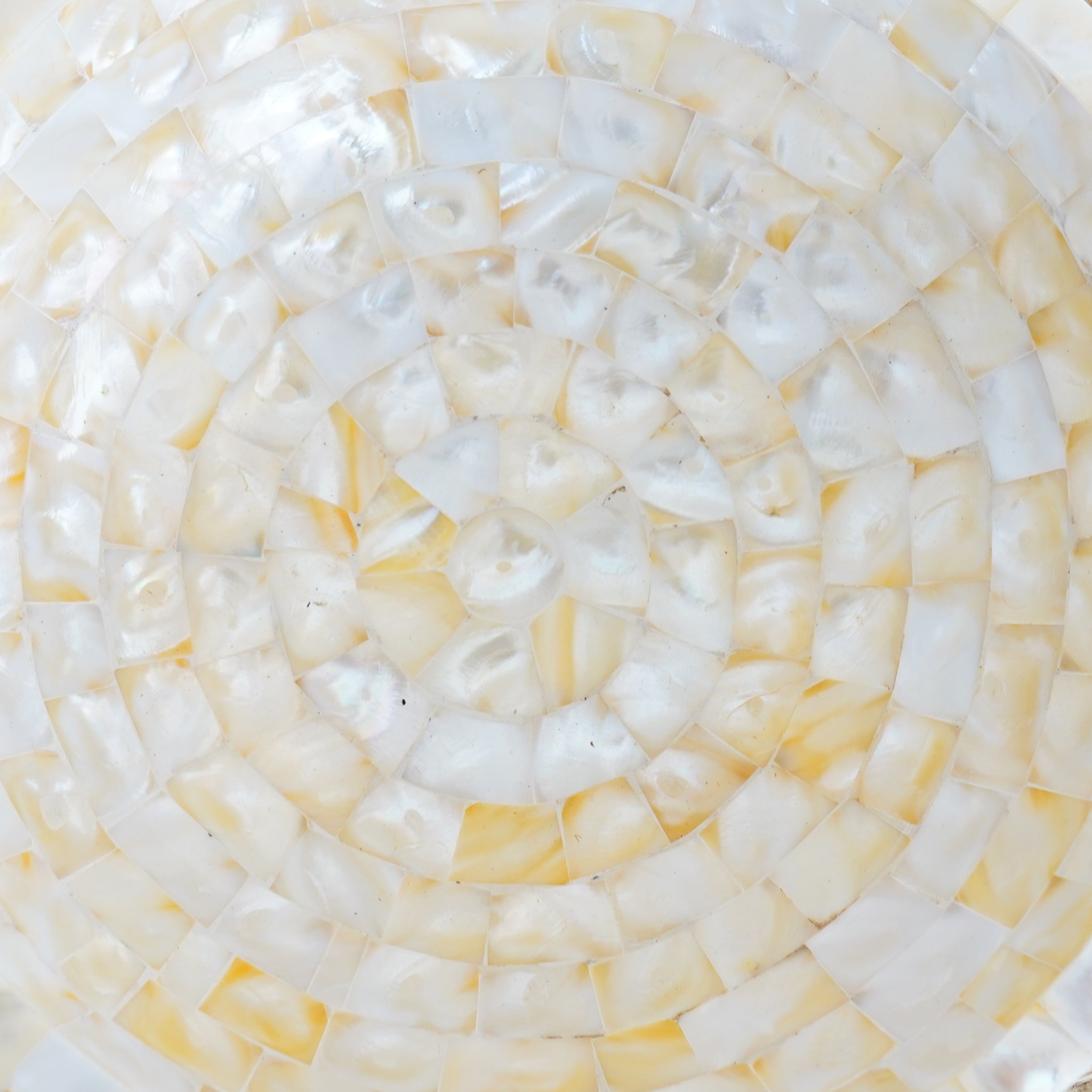 Elegant Natural Shell Bowl Coastal-Inspired Decorative & Functional Centerpiece